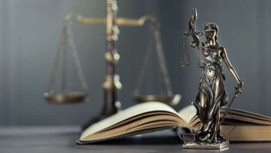 Law
